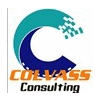 COLVASS CONSULTING LIMITED