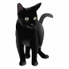 BLACK CAT PC - SUPPLYING DELL PARTS SINCE 1998