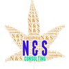 N&S CONSULTING
